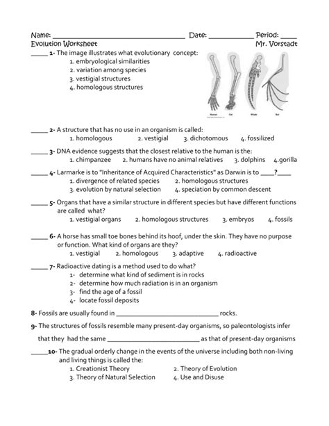 types of evolution worksheet biology